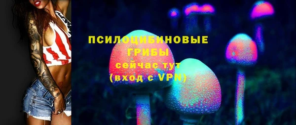 молекула духа Гусиноозёрск