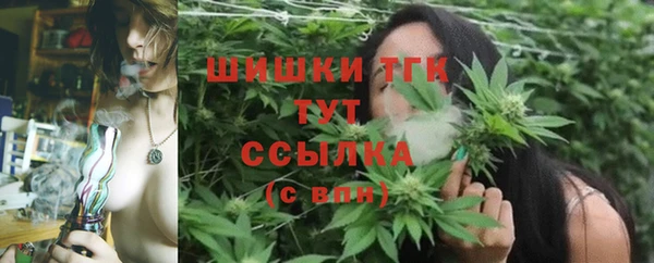 спайс Дмитриев