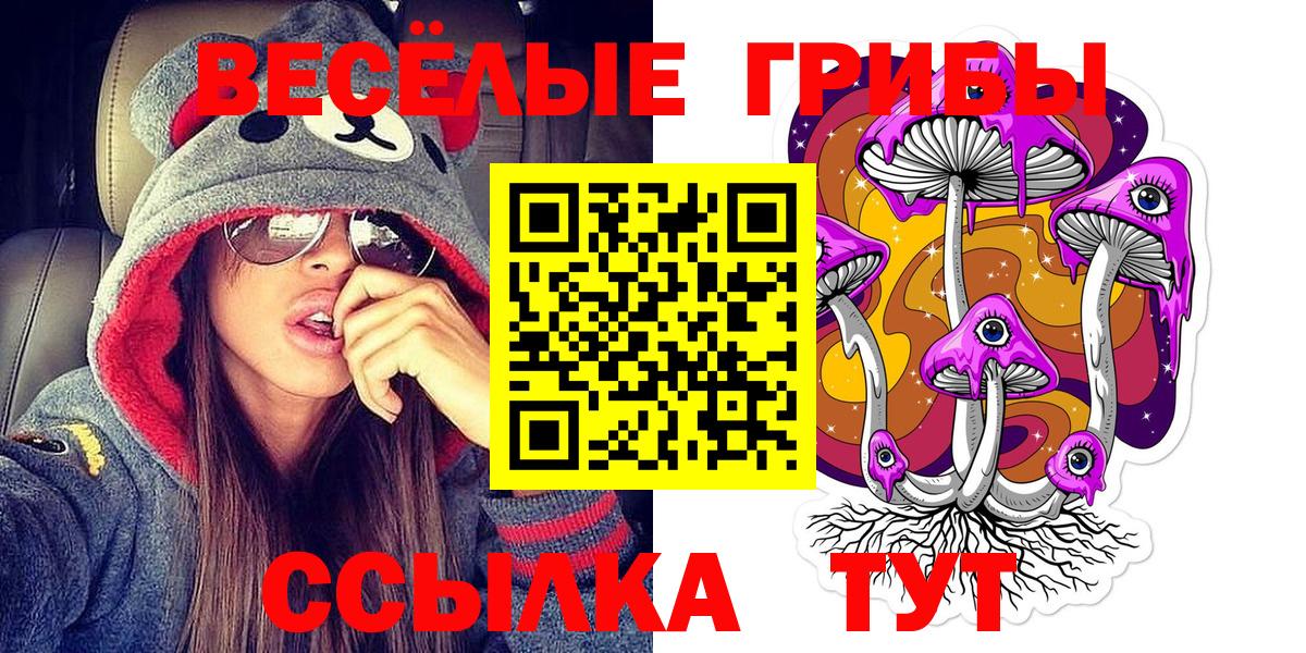 Галлюциногенные грибы прущие грибы Дятьково